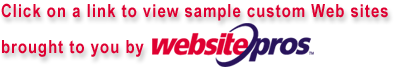 Click on a link to view custom Web sites brought to you by Website Pros.