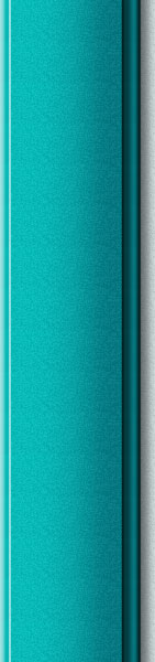 bottom of nav bar