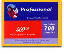 Professional Rates